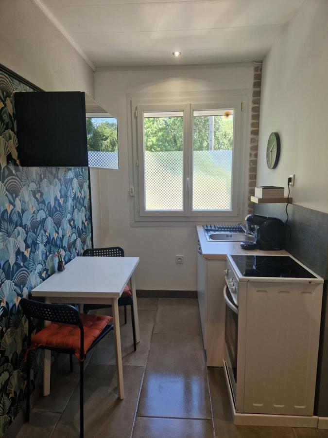 Appartement Independant Dans Maison Avec Jardinet, Au Calme Sérézin-du-Rhône Zewnętrze zdjęcie
